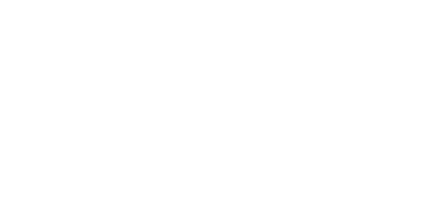 IBK Bullet – VA Edelstahl