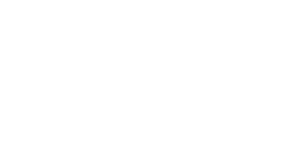 IBK Bullet – Premium Service